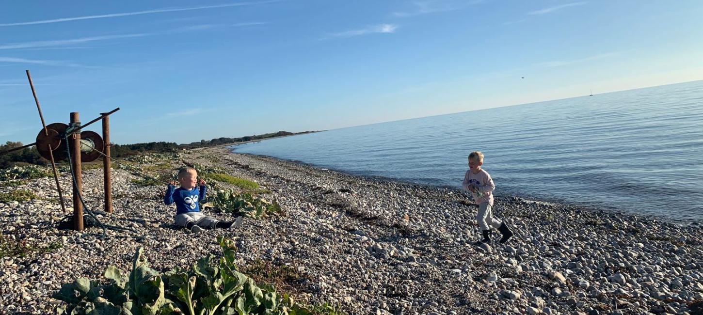 Børn på strand