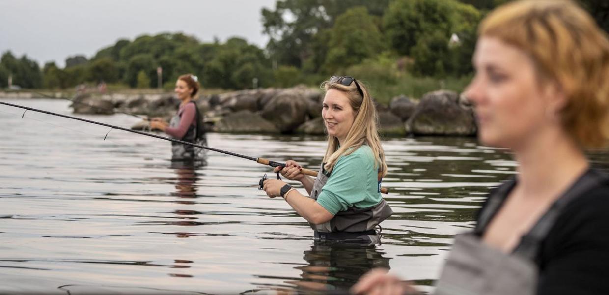 Lystfiskeri på Ærø