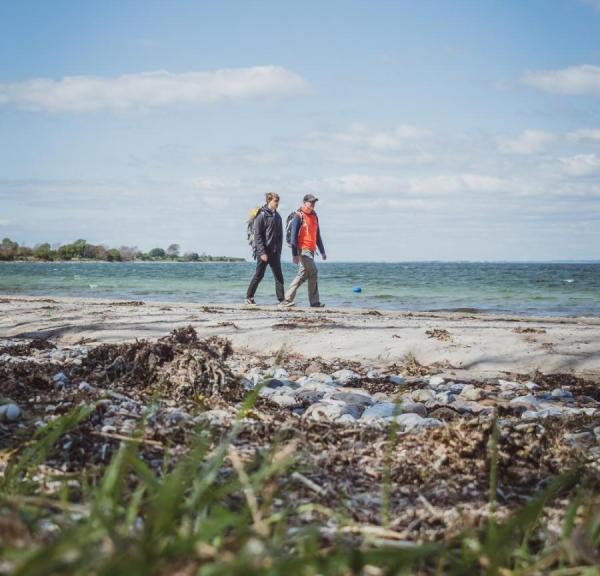 Mænd vandrer ved strand