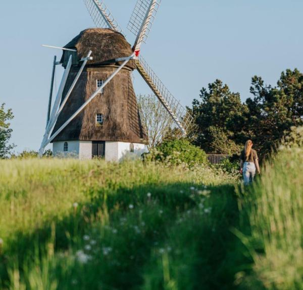 Vester Mølle, forår, sommer, natur, vandring