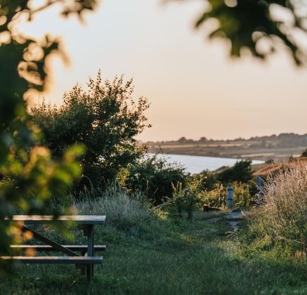 Voderup Klint på Ærø