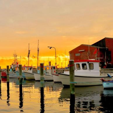 Fiskekuttere i Søby Havn