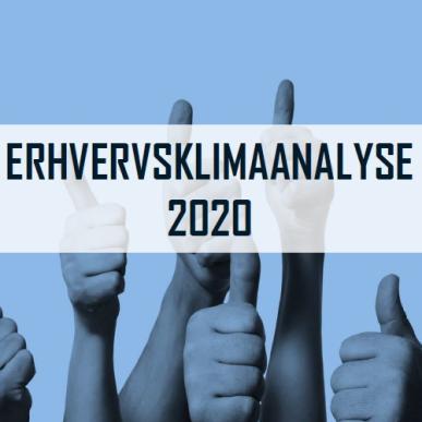 Erhvervsklimaanalyse Ærø 2020