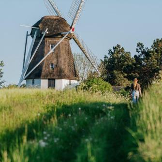 job på Ærø er der mere end 10 ledige