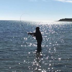 Lystfiskeri med fiskeguide på Ærø