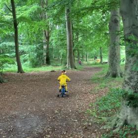 Barn cykler i Loddenbjerg Plantage