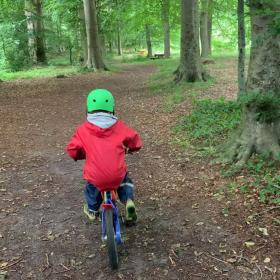 Dreng cykler i skov