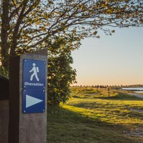 Vandring på Øhavsstien på Ærø